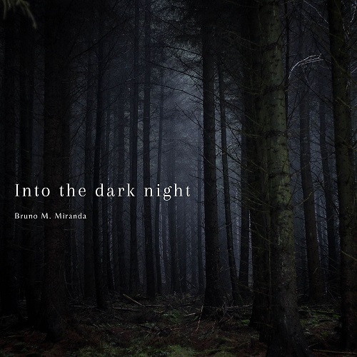 Into The Dark Night Artwork
