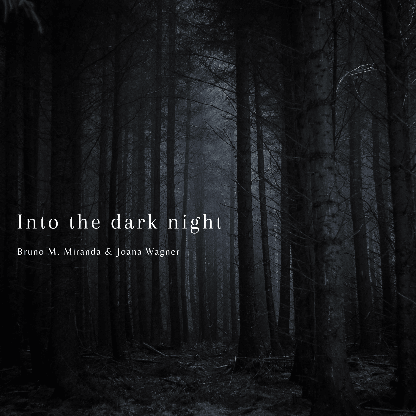 Into the dark night